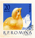 ROMANIA 16