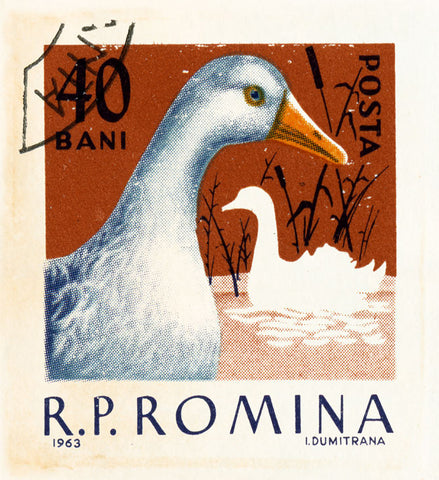 ROMANIA 18
