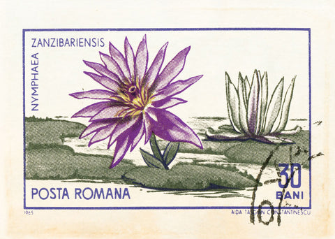ROMANIA 26