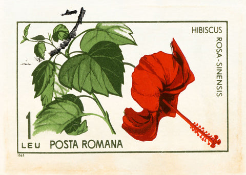 ROMANIA 27