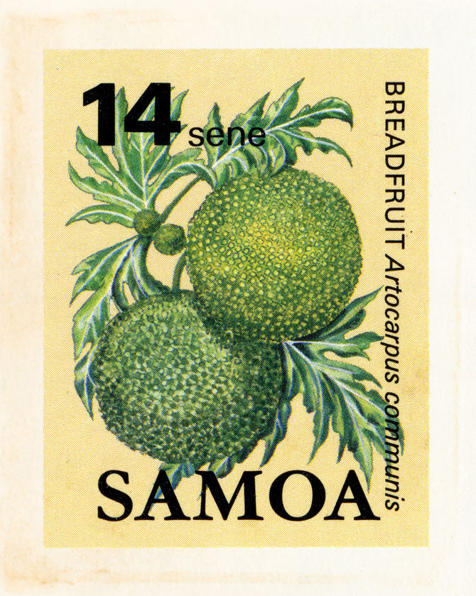SAMOA 24
