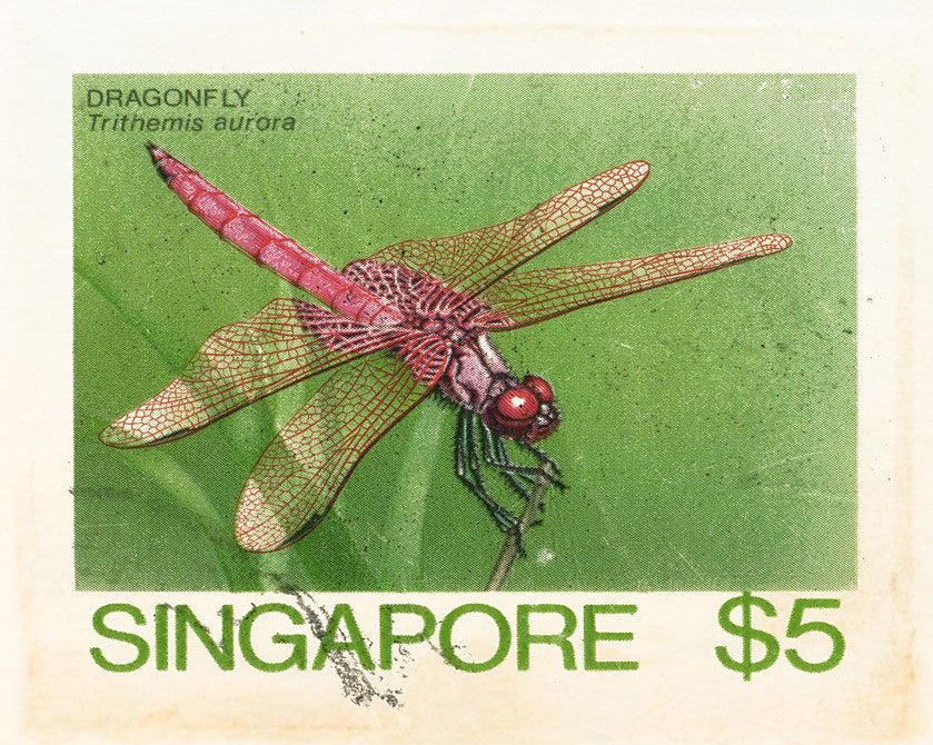 SINGAPORE 11