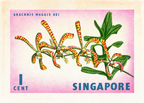 SINGAPORE 4