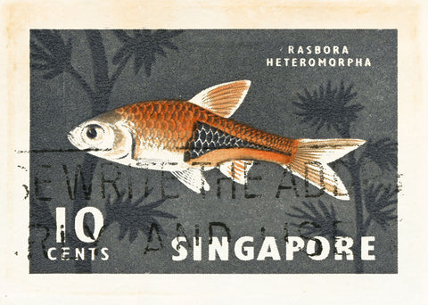 SINGAPORE 4