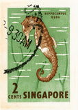 SINGAPORE 7